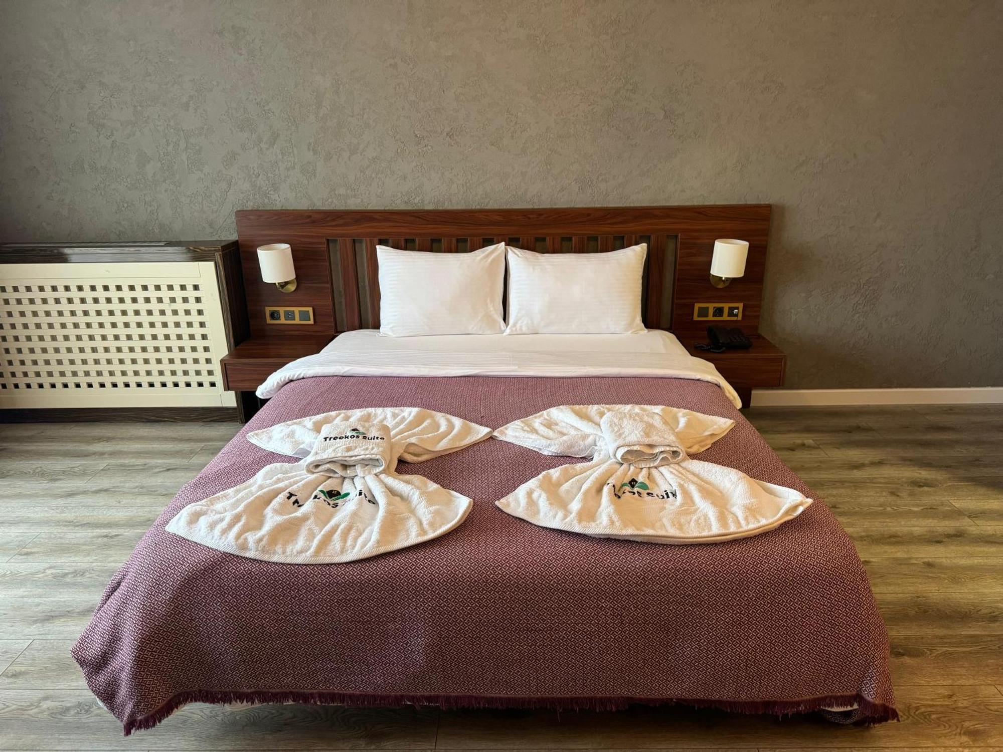 Istanbul Airport Treekos Suite Hotel Karaburun エクステリア 写真