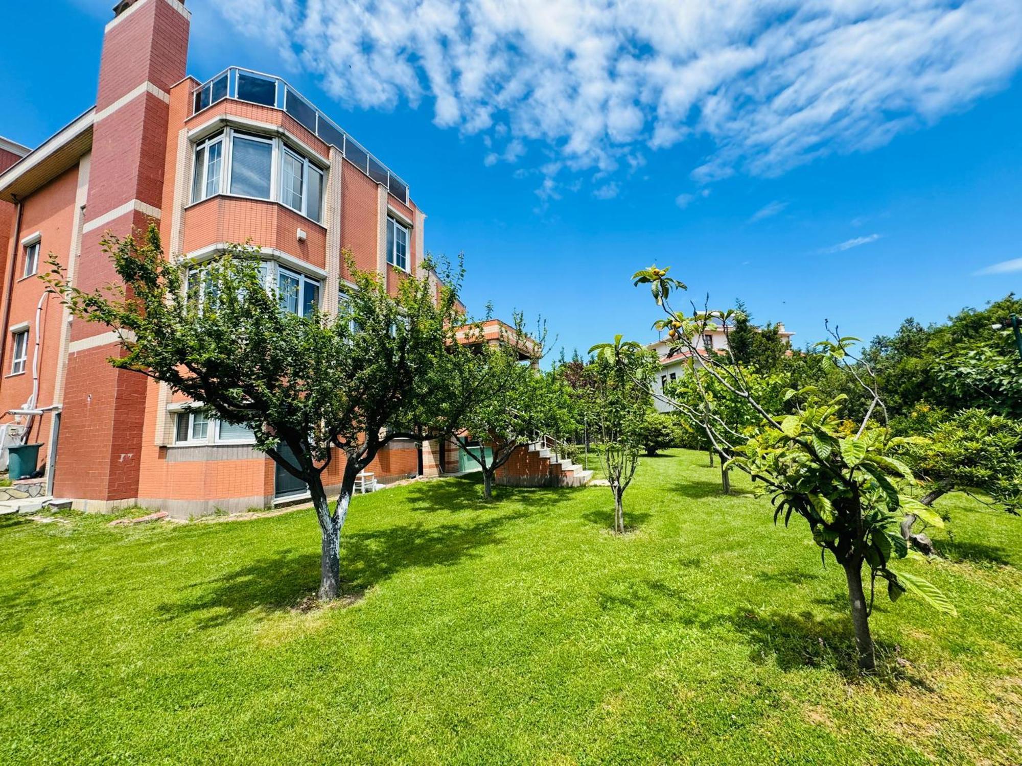 Istanbul Airport Treekos Suite Hotel Karaburun エクステリア 写真